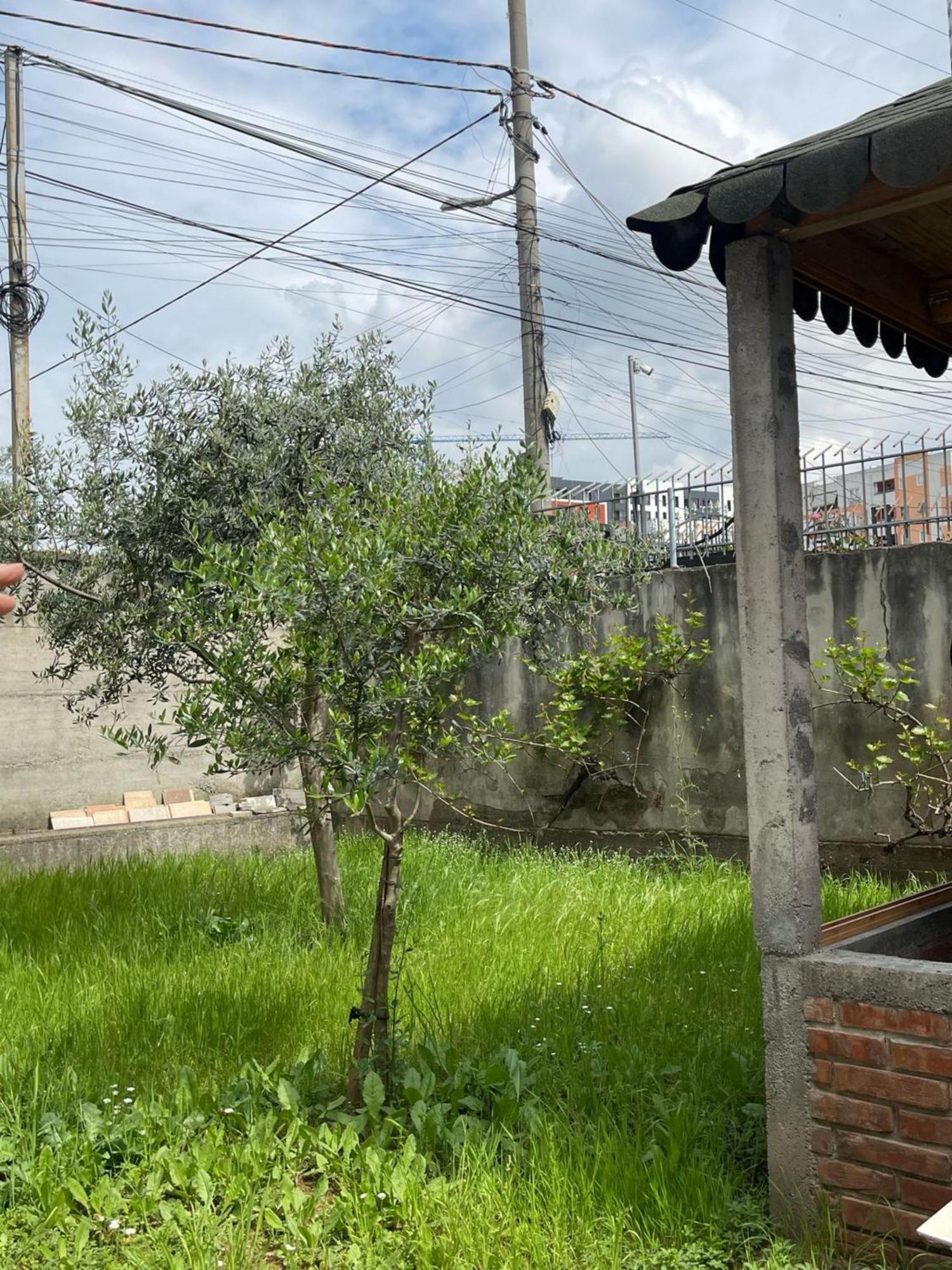 Kalpazo 313 Appartamento