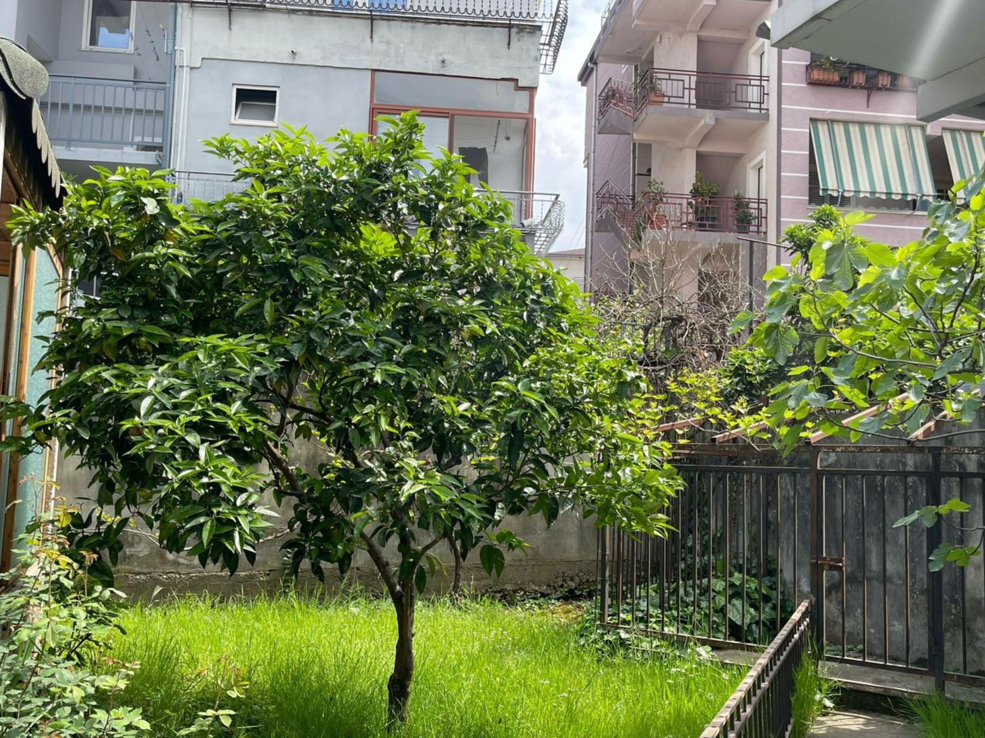 Kalpazo 313 Appartamento Tirana