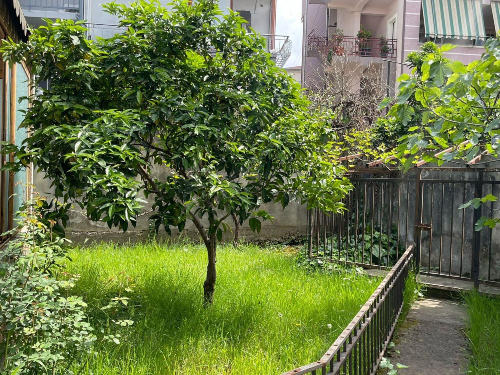 Kalpazo 313 Appartamento Tirana