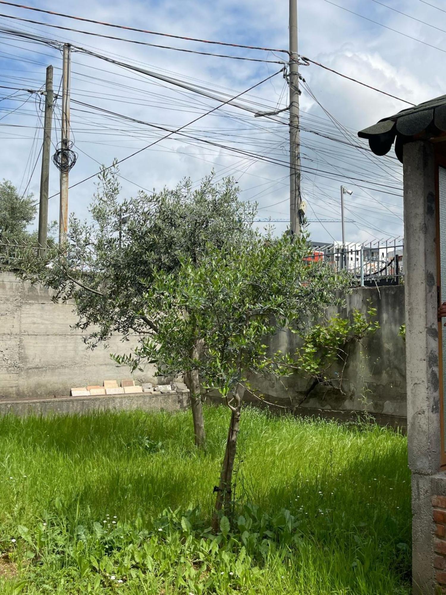 Appartamento Kalpazo 313